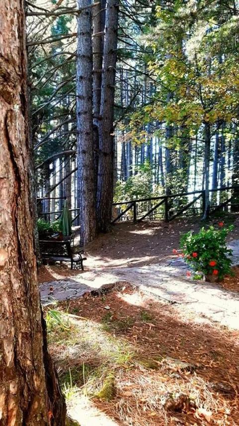 Villaggio Barilari * Minucciano